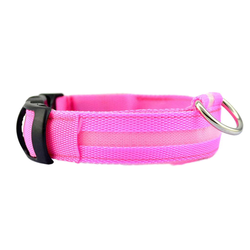 LED Safety Dog Collar – Be Seen. Stay Safe.