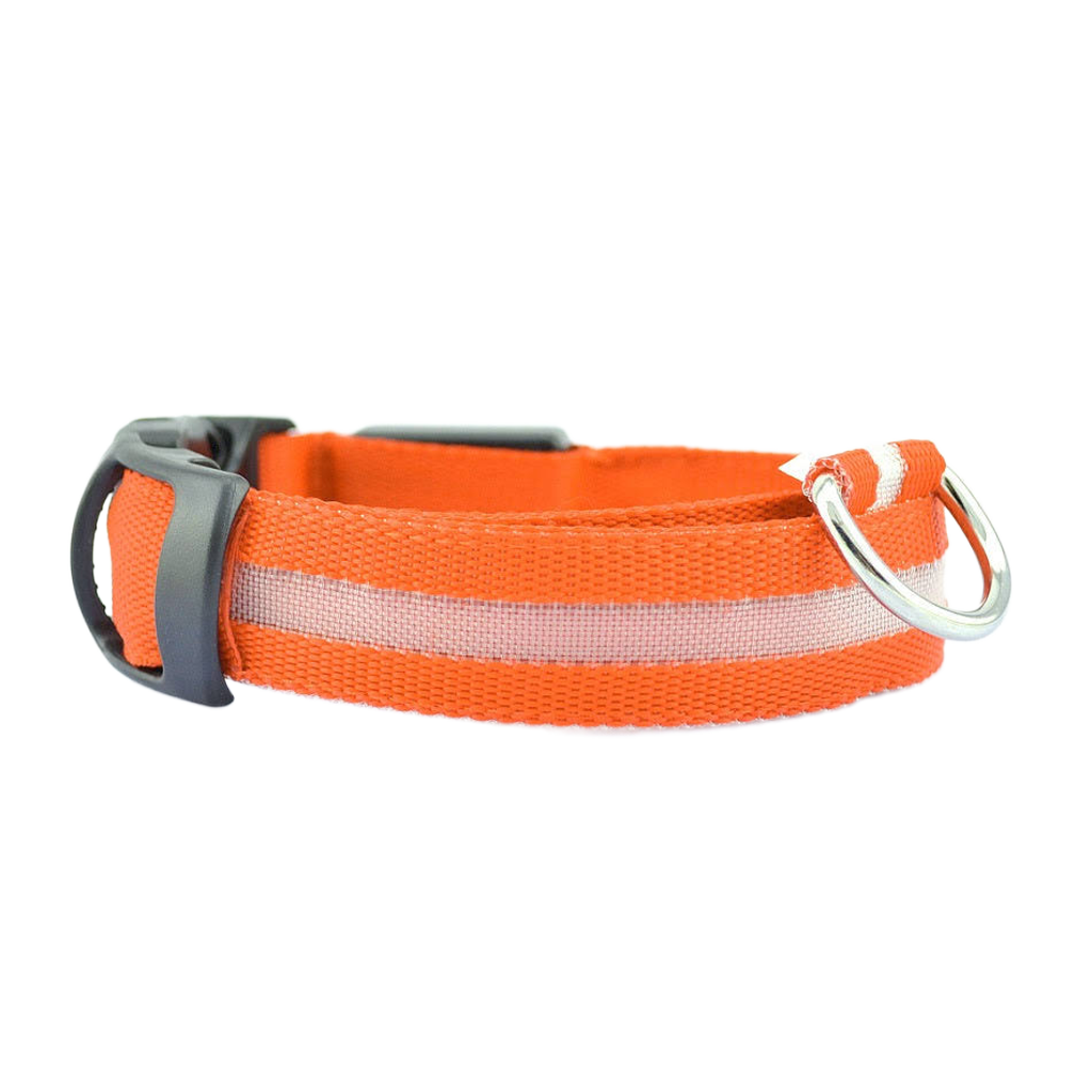 LED Safety Dog Collar – Be Seen. Stay Safe.