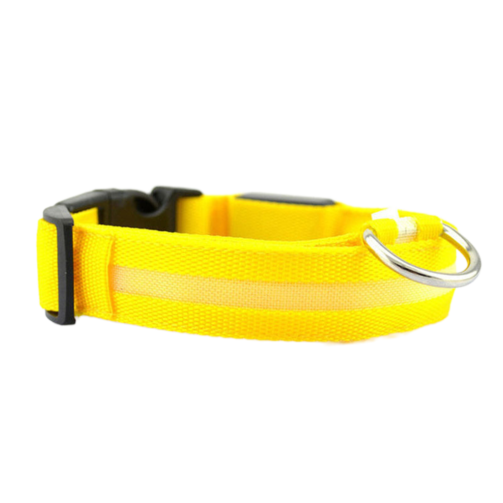 LED Safety Dog Collar – Be Seen. Stay Safe.