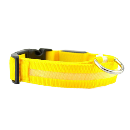 LED Safety Dog Collar – Be Seen. Stay Safe.