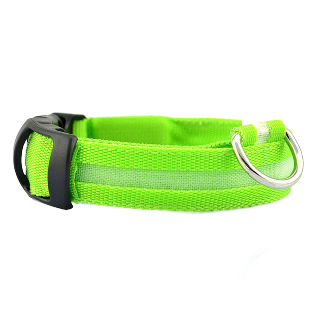LED Safety Dog Collar – Be Seen. Stay Safe.