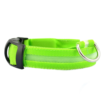 LED Safety Dog Collar – Be Seen. Stay Safe.