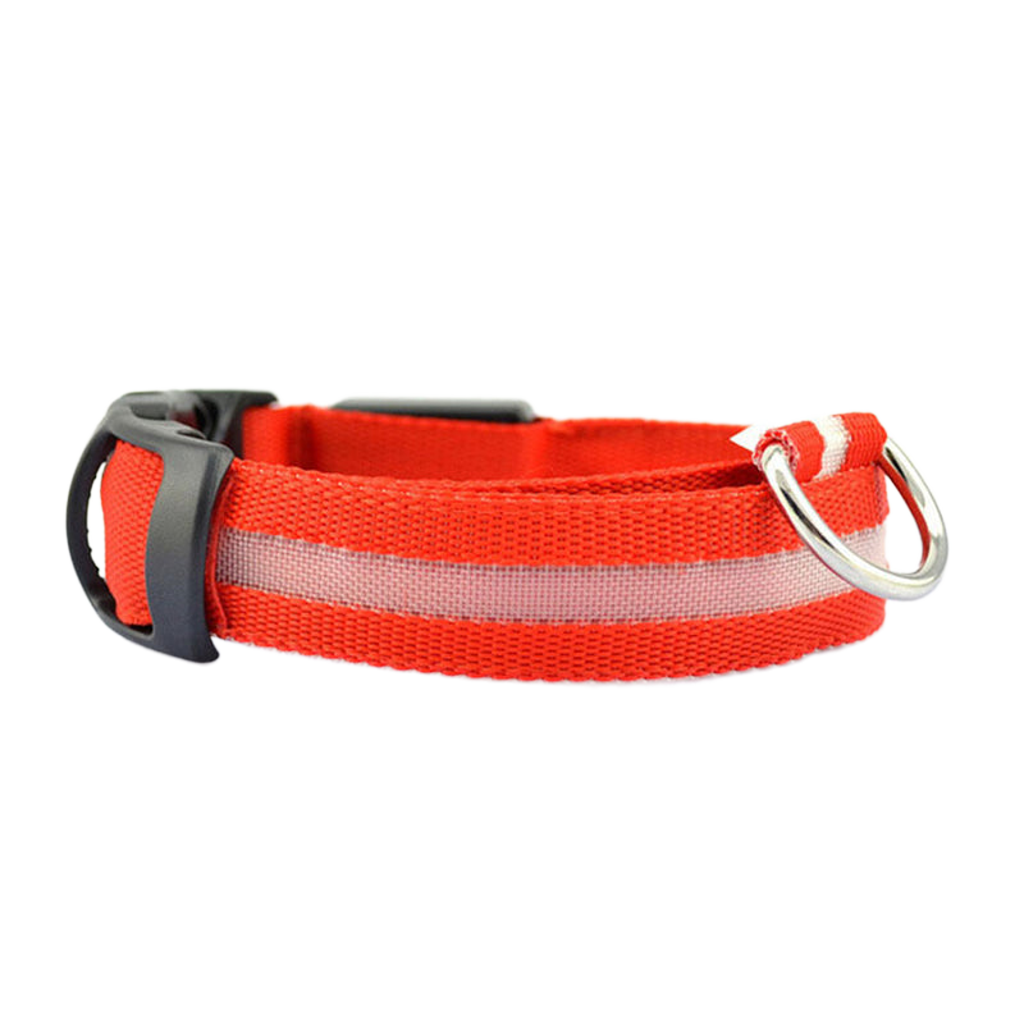 LED Safety Dog Collar – Be Seen. Stay Safe.