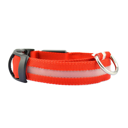 LED Safety Dog Collar – Be Seen. Stay Safe.