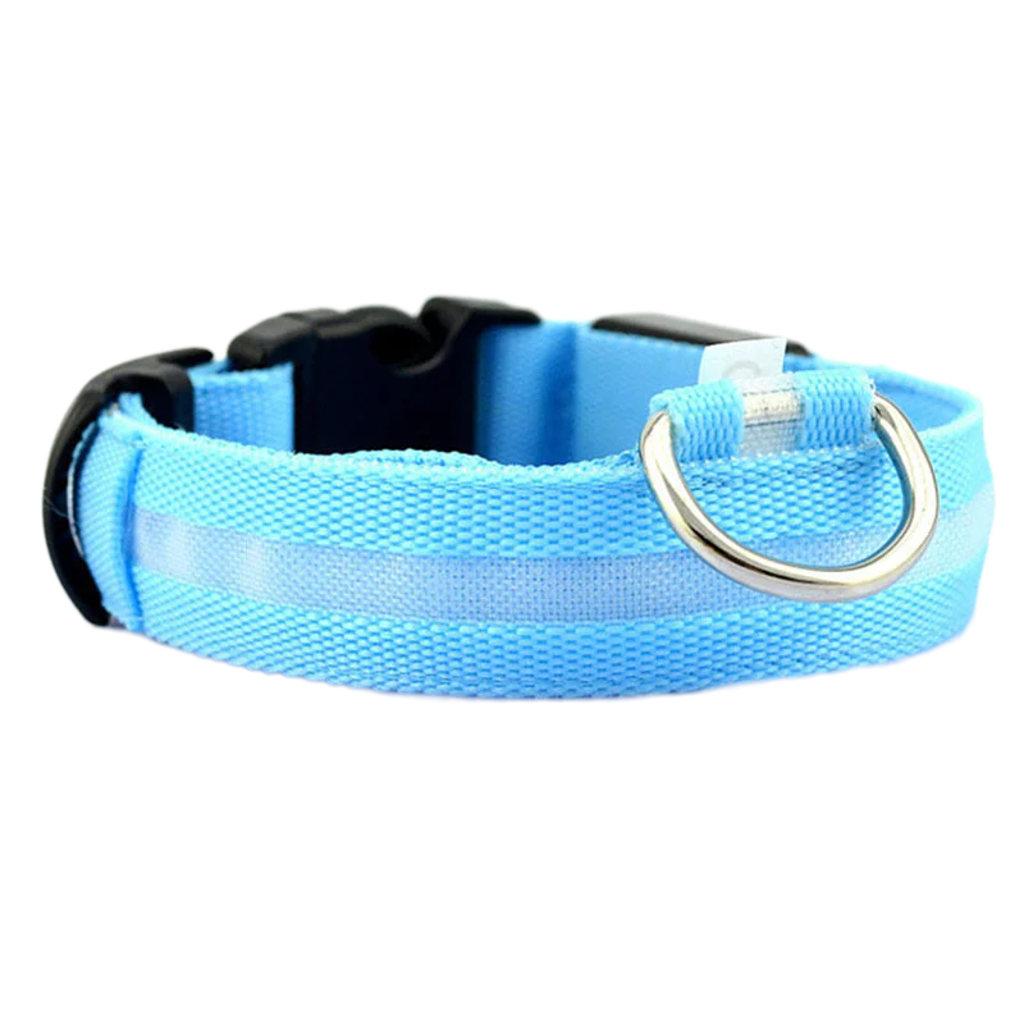 LED Visibility Dog Collar with Adjustable Fit