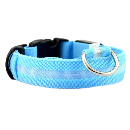 LED Visibility Dog Collar with Adjustable Fit